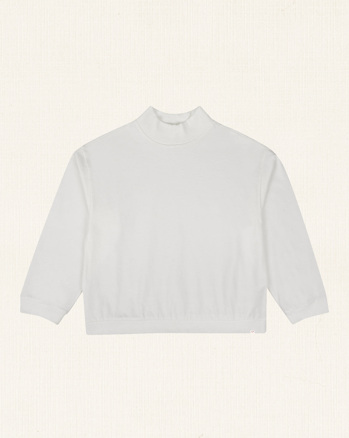 Amaro Turtle Neck LS T-shirt Ecru