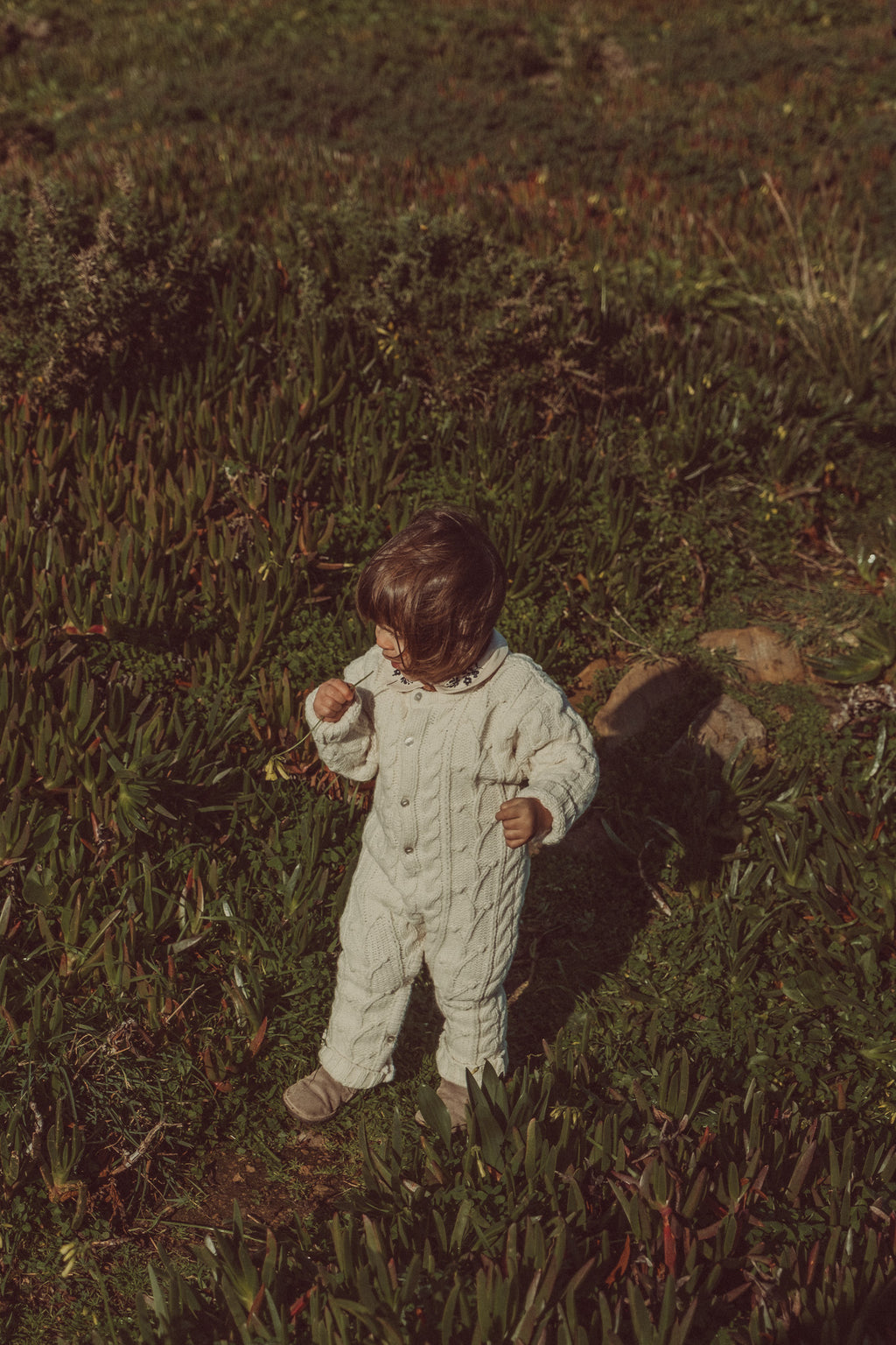 Aires Knitted Jumpsuit Ecru (Special Edition)