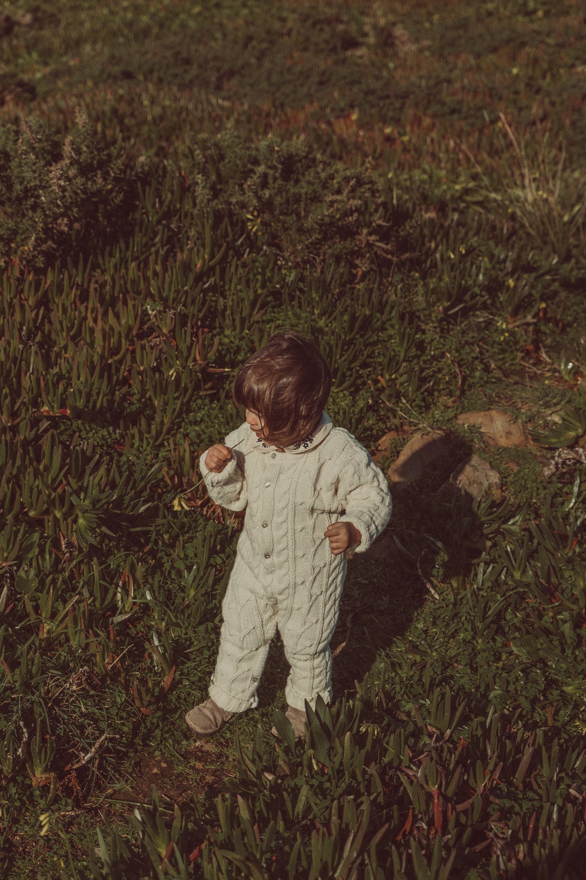 Aires Knitted Jumpsuit Ecru (Special Edition)