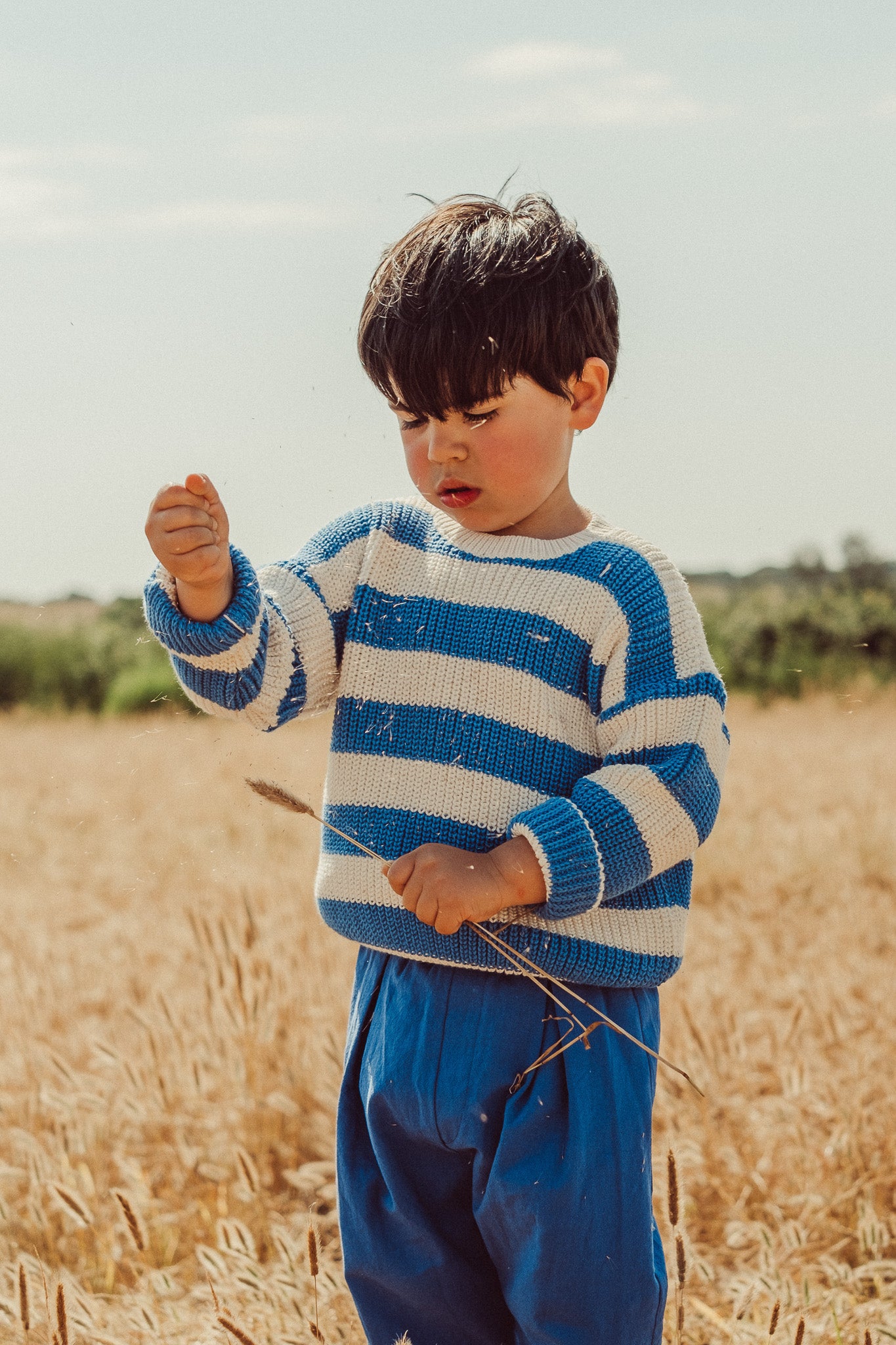 Gastão Sweater - Royal Blue