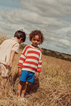 Jobim Shorts - Royal Blue